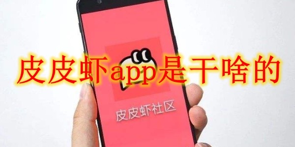 皮皮虾app是干啥的