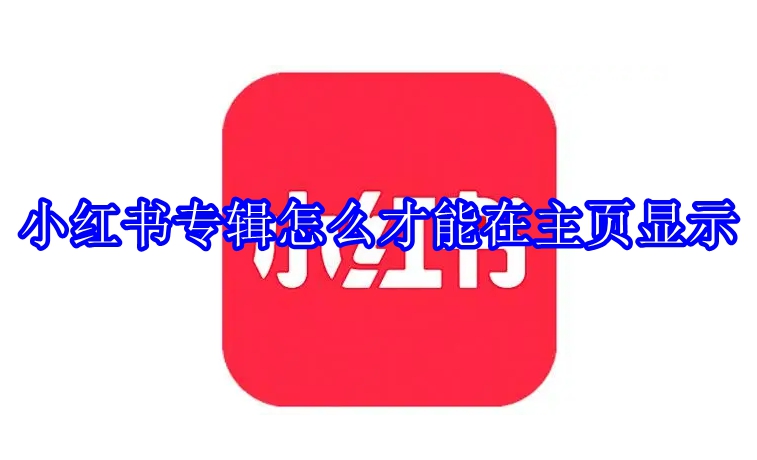 小红书专辑怎么才能在主页显示