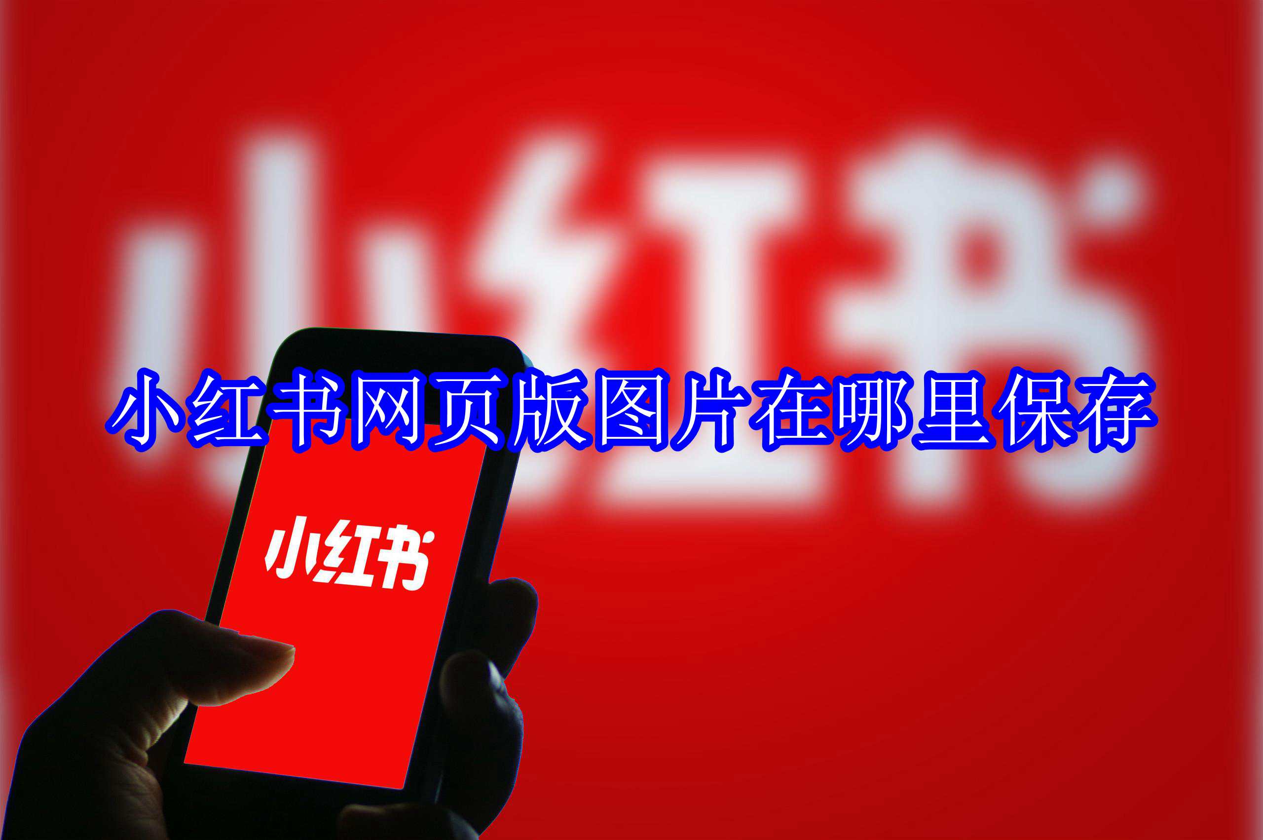 小红书网页版图片在哪里保存