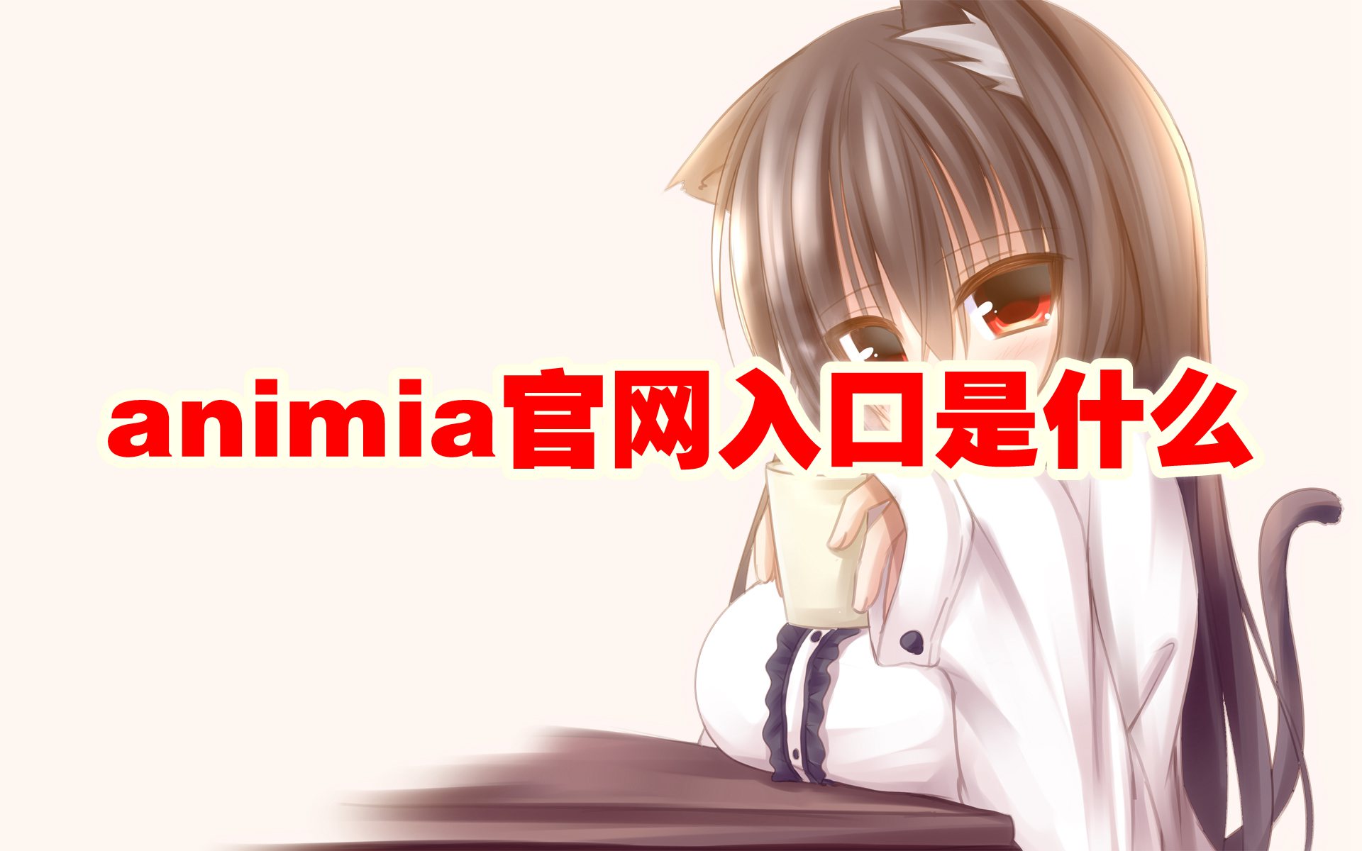 animia官网入口是什么