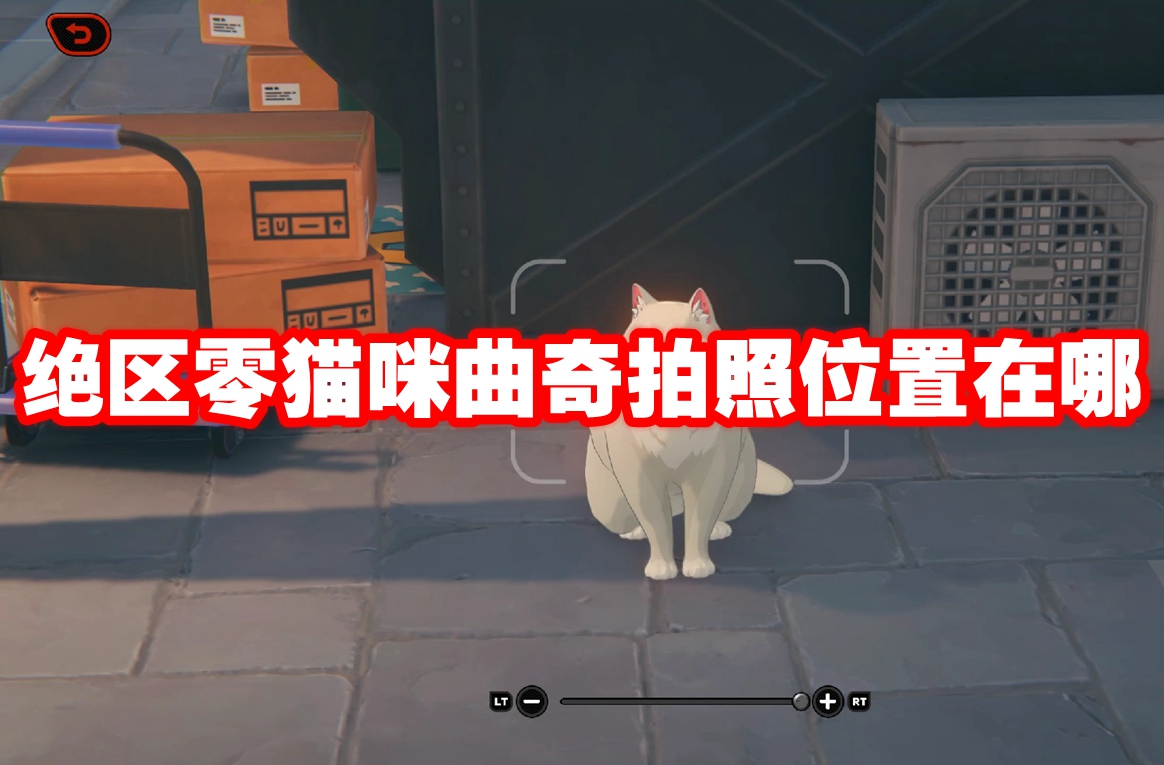 绝区零猫咪曲奇拍照位置在哪