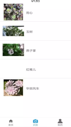 灵通植物软件截图