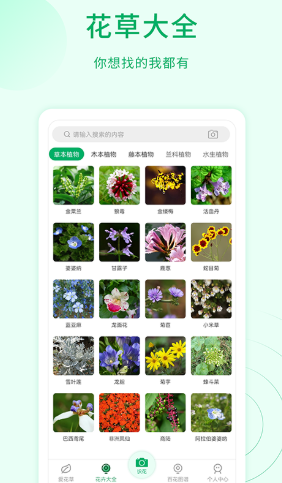 花草识别软件截图