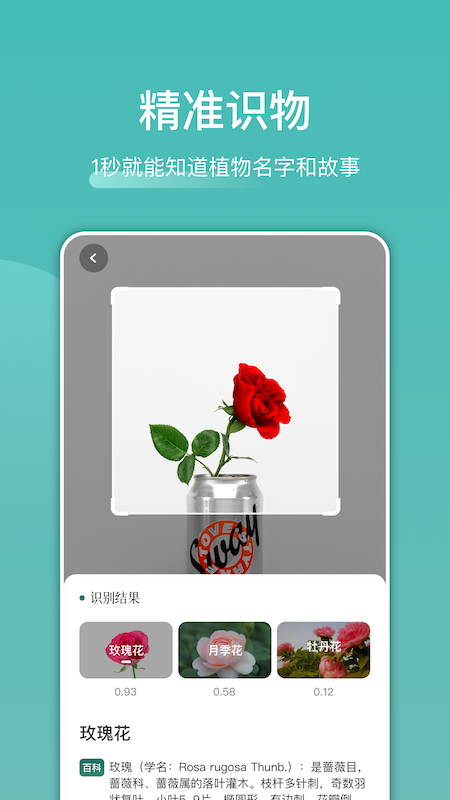 识花识物软件截图