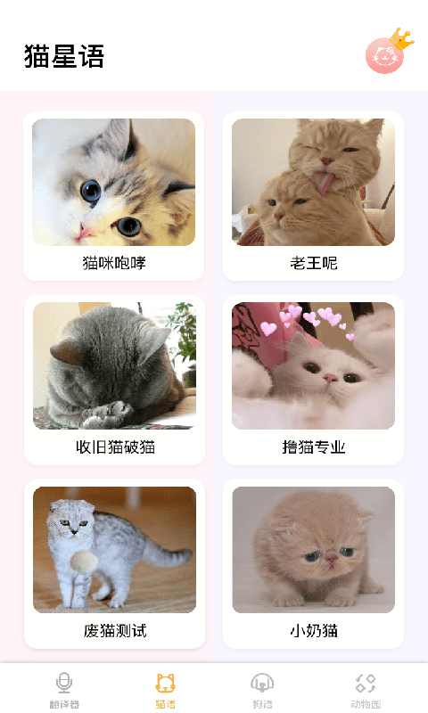 猫猫语翻译软件截图