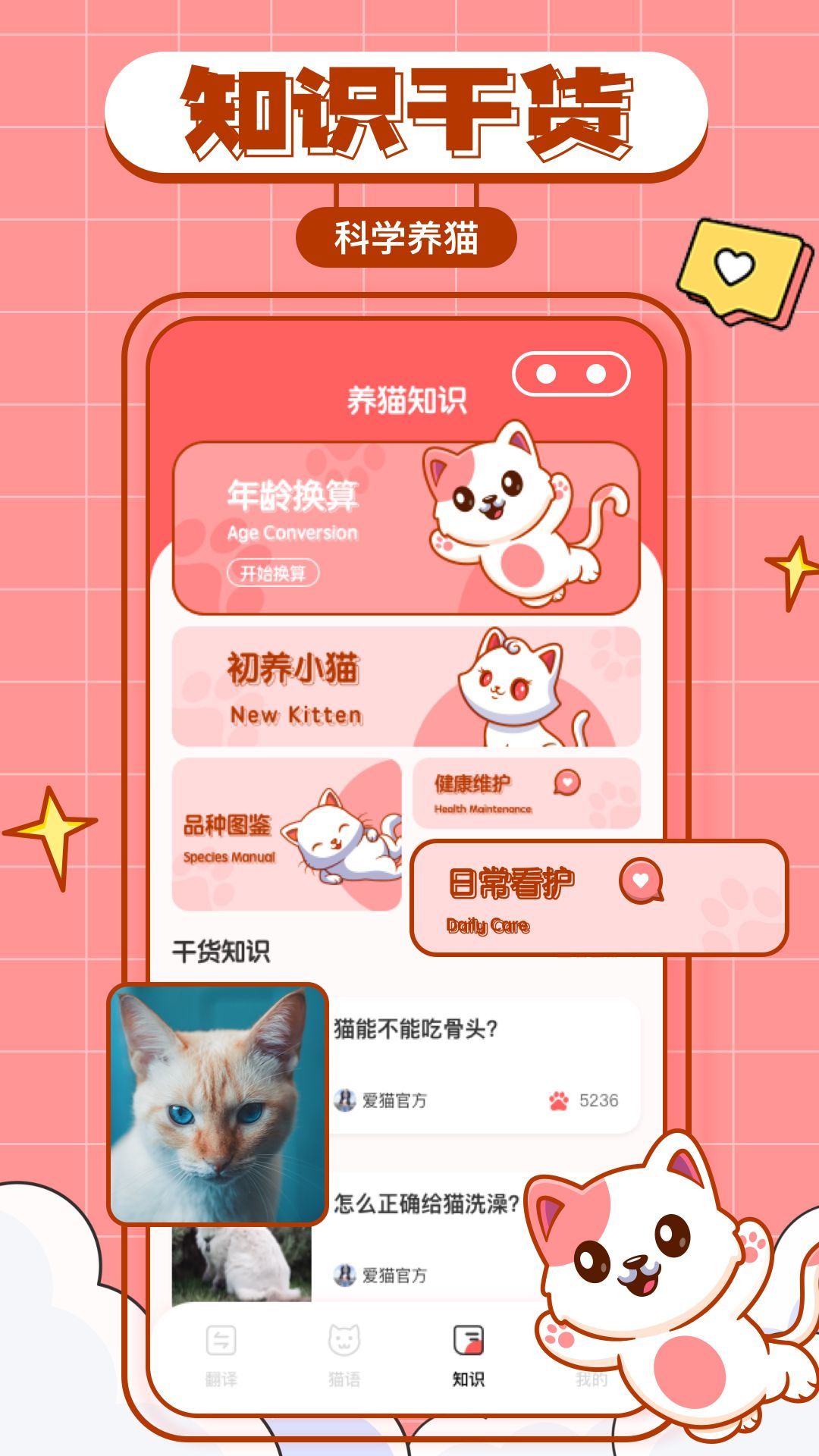 猫咪翻译物语软件截图