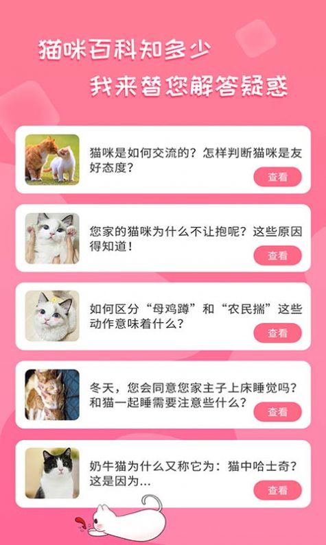 人猫翻译神器软件截图