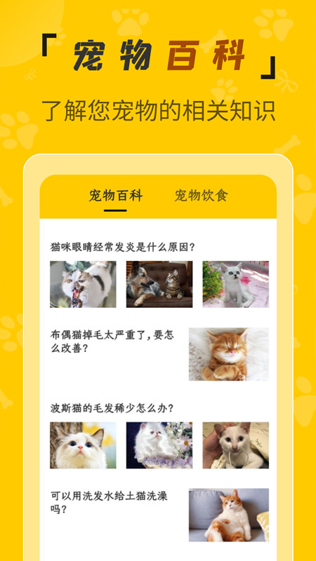 人猫翻译机软件截图