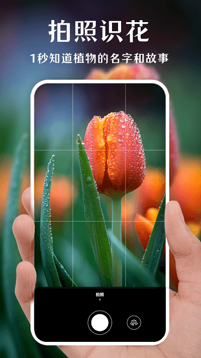 一键拍照识花软件截图