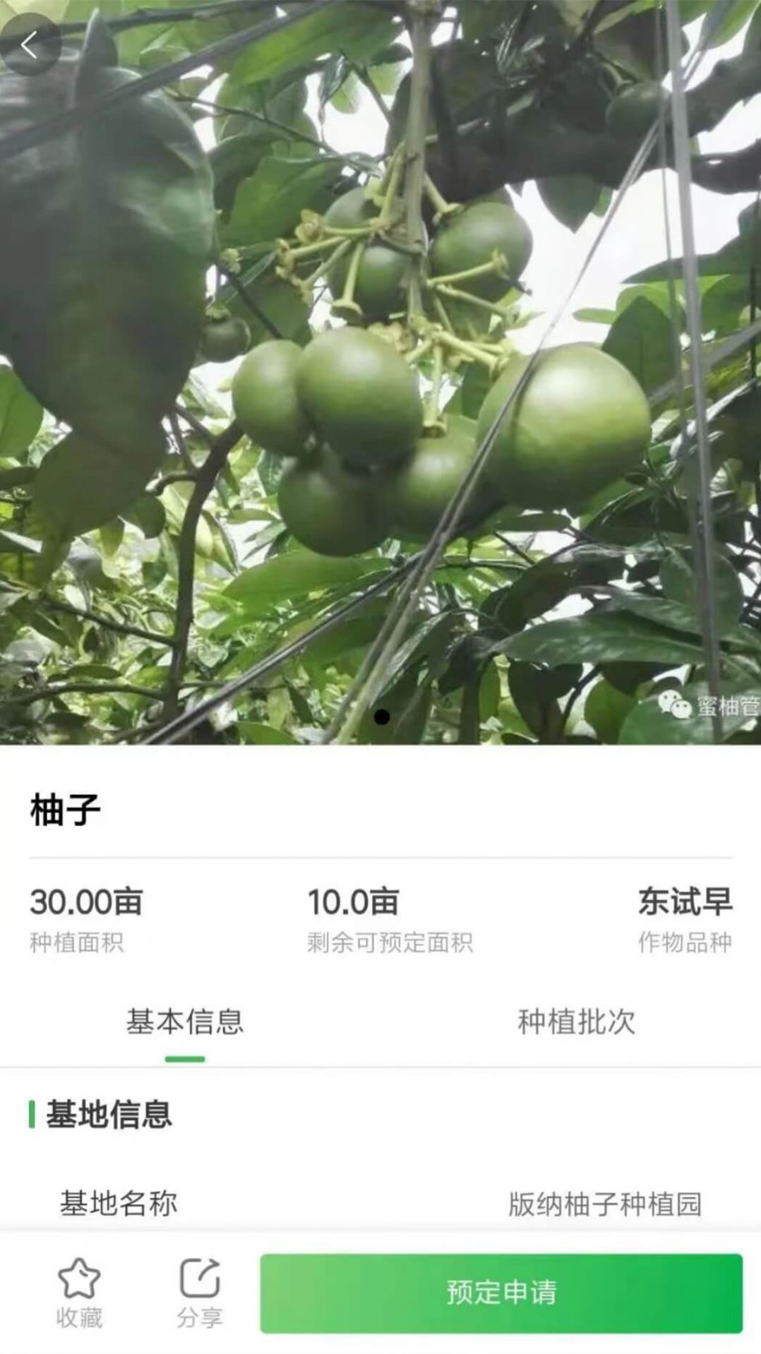 智云优选软件截图