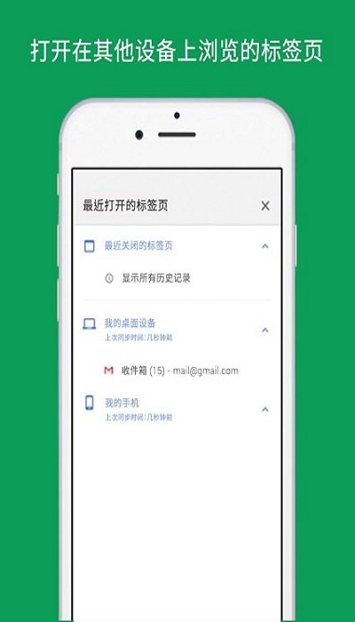 Google浏览器最新2024软件截图