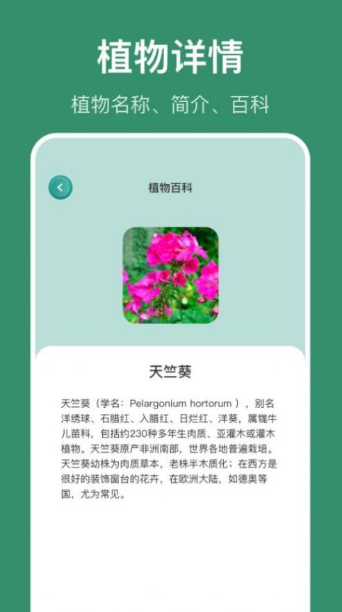 花仙识花草软件截图