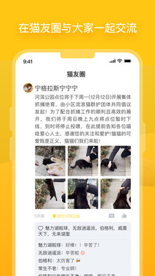 哈啰街猫软件截图