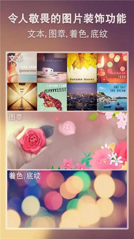 snapseed编辑软件截图