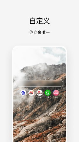 via浏览器软件截图