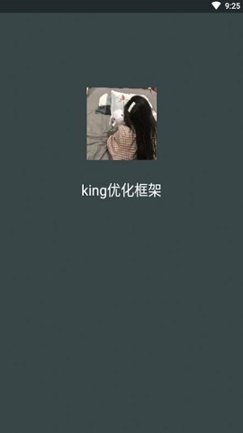 king专用框架免费版软件截图