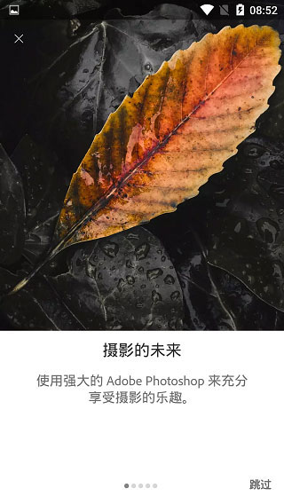 lightroom安卓版软件截图