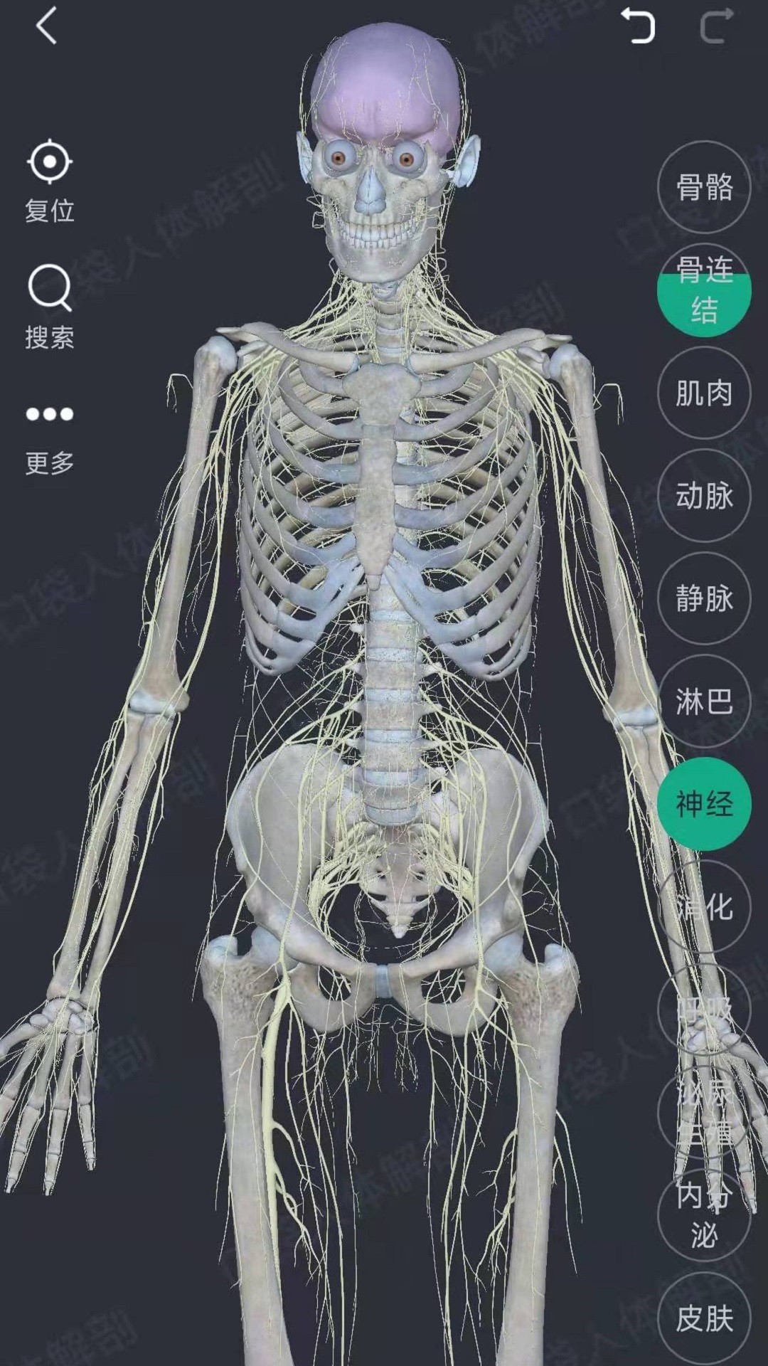 万康人体3D软件截图