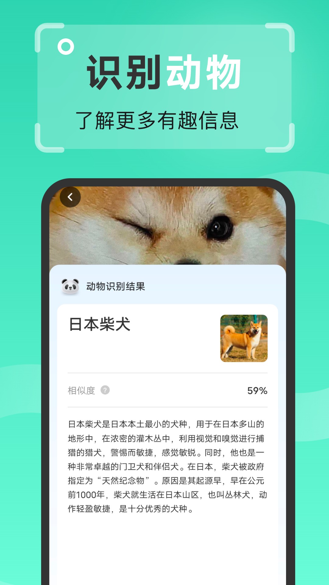 强效扫描王软件截图