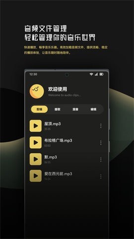 音乐时刻剪辑助手软件截图