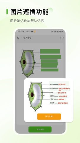 Anymo软件截图