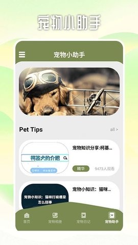 爱游猫助手软件截图