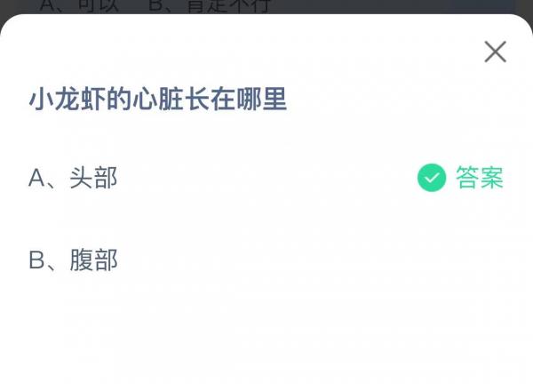 《支付宝》12月4日支付宝小鸡答题答案分享